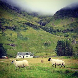   \/ Nature of Scotland