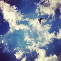 Наш воздушный змей на фестивале воздушных змеев \/ Our sky dragon on Kites festival.