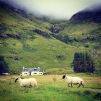 Природа Шотландии \/ Nature of Scotland